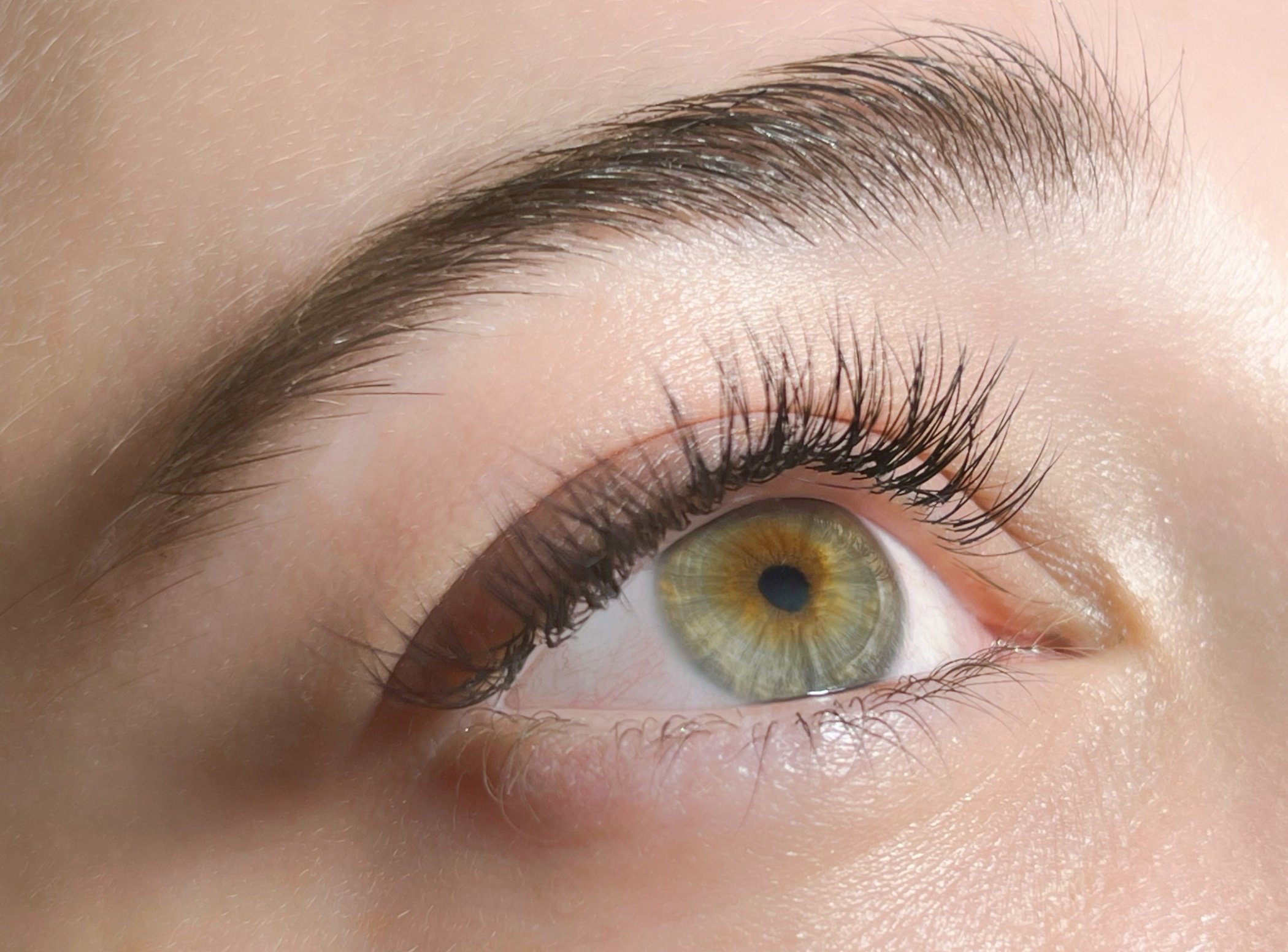 The procedure of classical eyelash extension. Beautiful female eyes close-up with long eyelashes