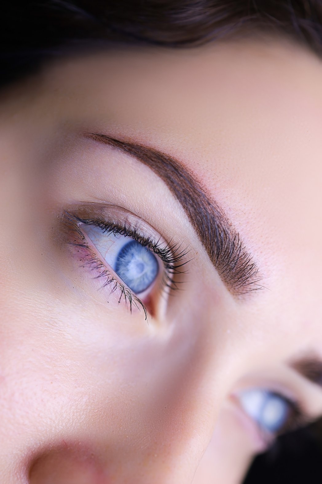 Permanent Eyebrow Makeup Close-up. Model Girl with Blue Eyes